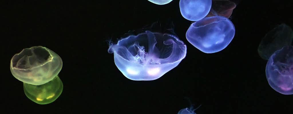 Aquarium Poema del Mar tickets and tours