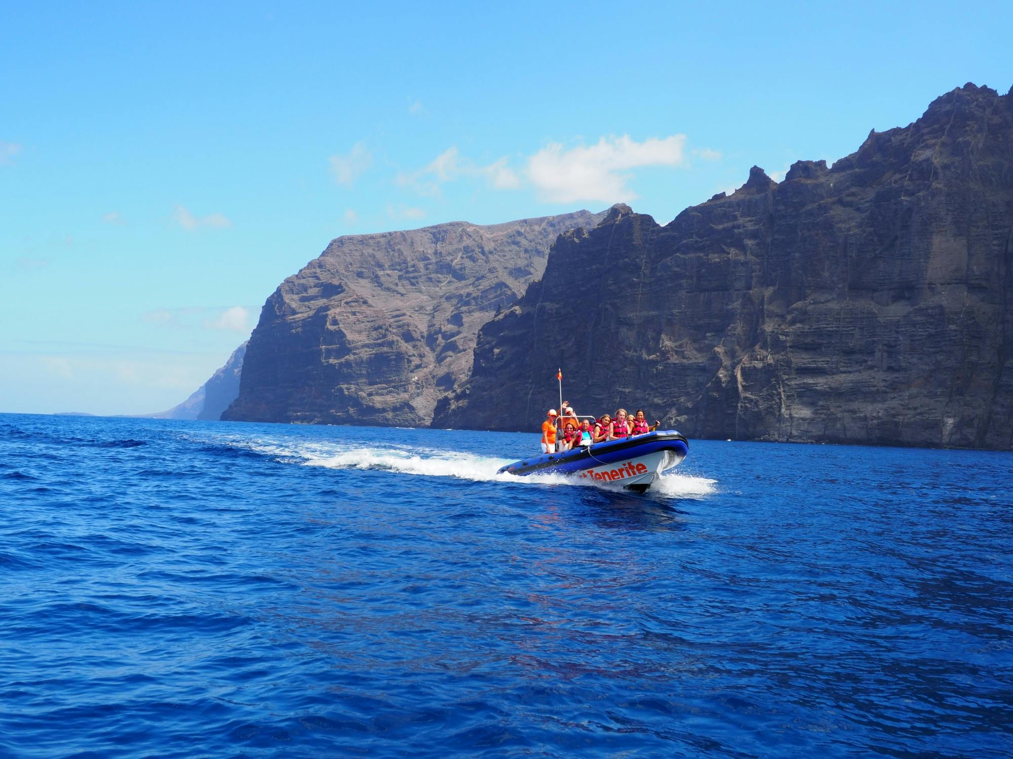 Passeio de barco em pequenos grupos ao longo das falésias de Los Gigantes até Punta Teno