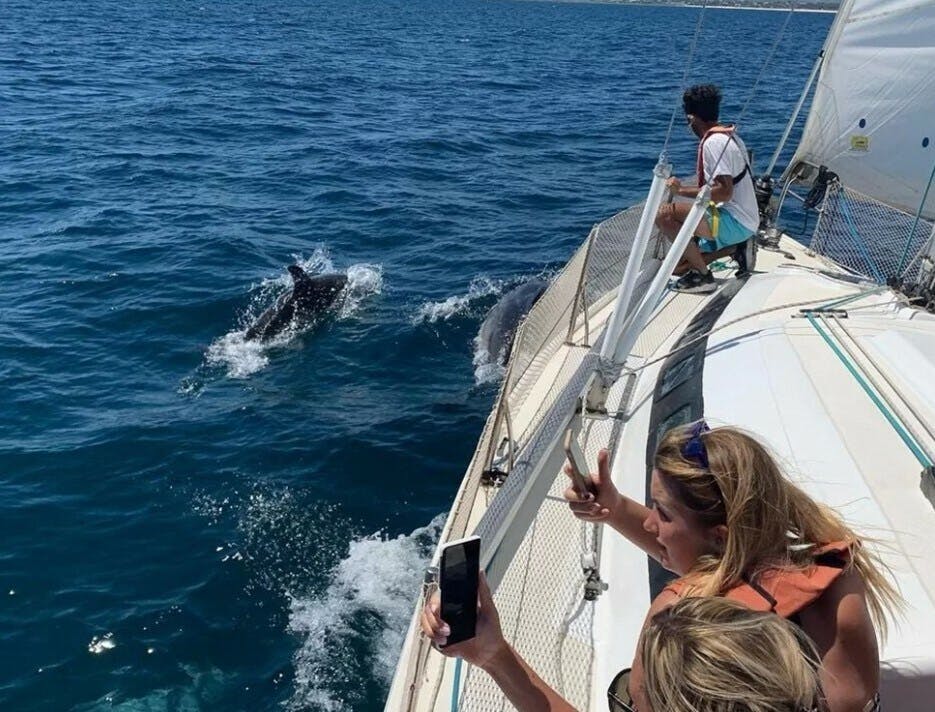 Ria Formosa four-hour sailing trip with lesson