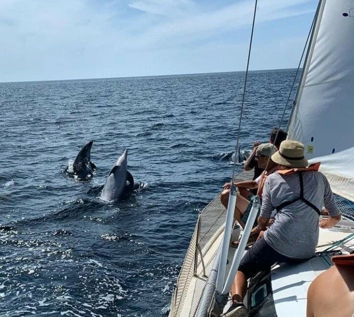 Ria Formosa four-hour sailing trip with lesson