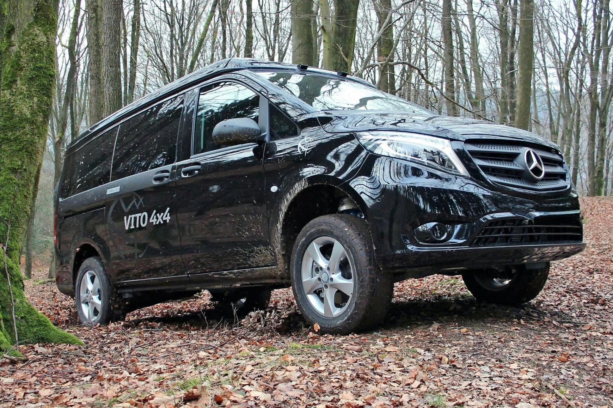 Mount Ainos 4x4 tour in Kefalonia