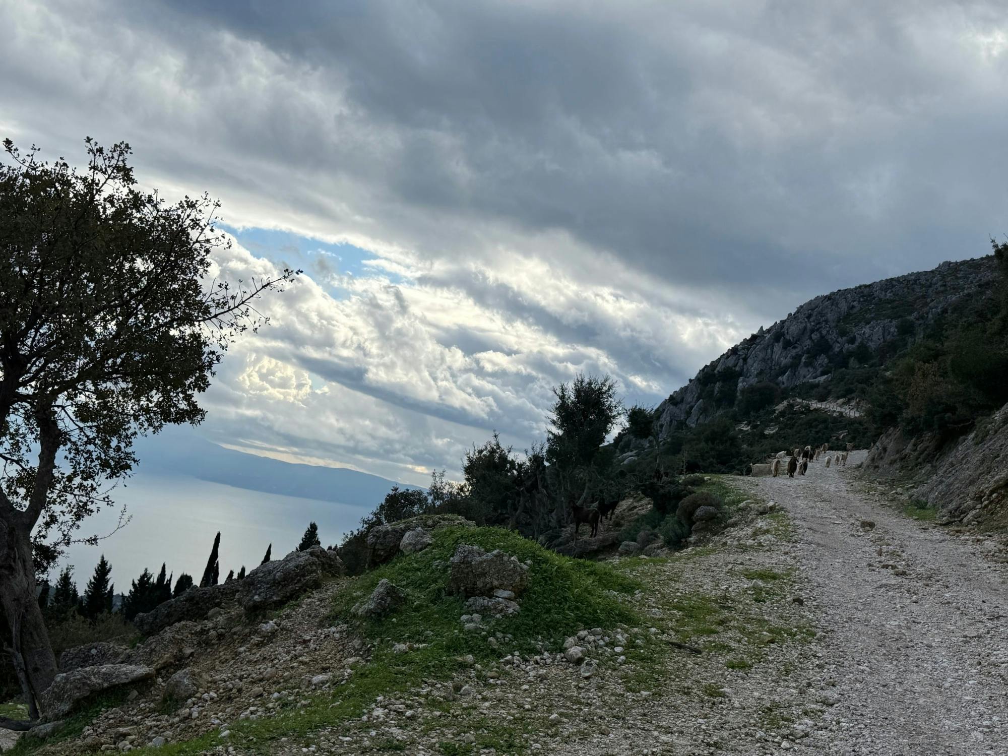 Mount Ainos 4x4 tour in Kefalonia