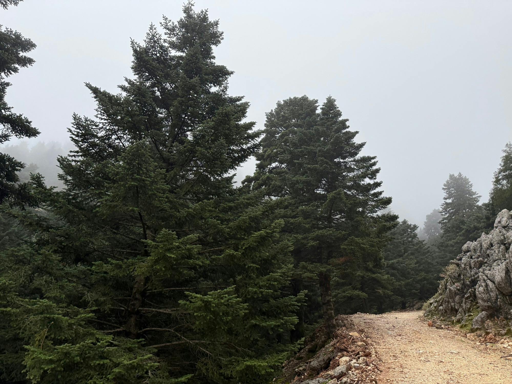 Mount Ainos 4x4 tour in Kefalonia