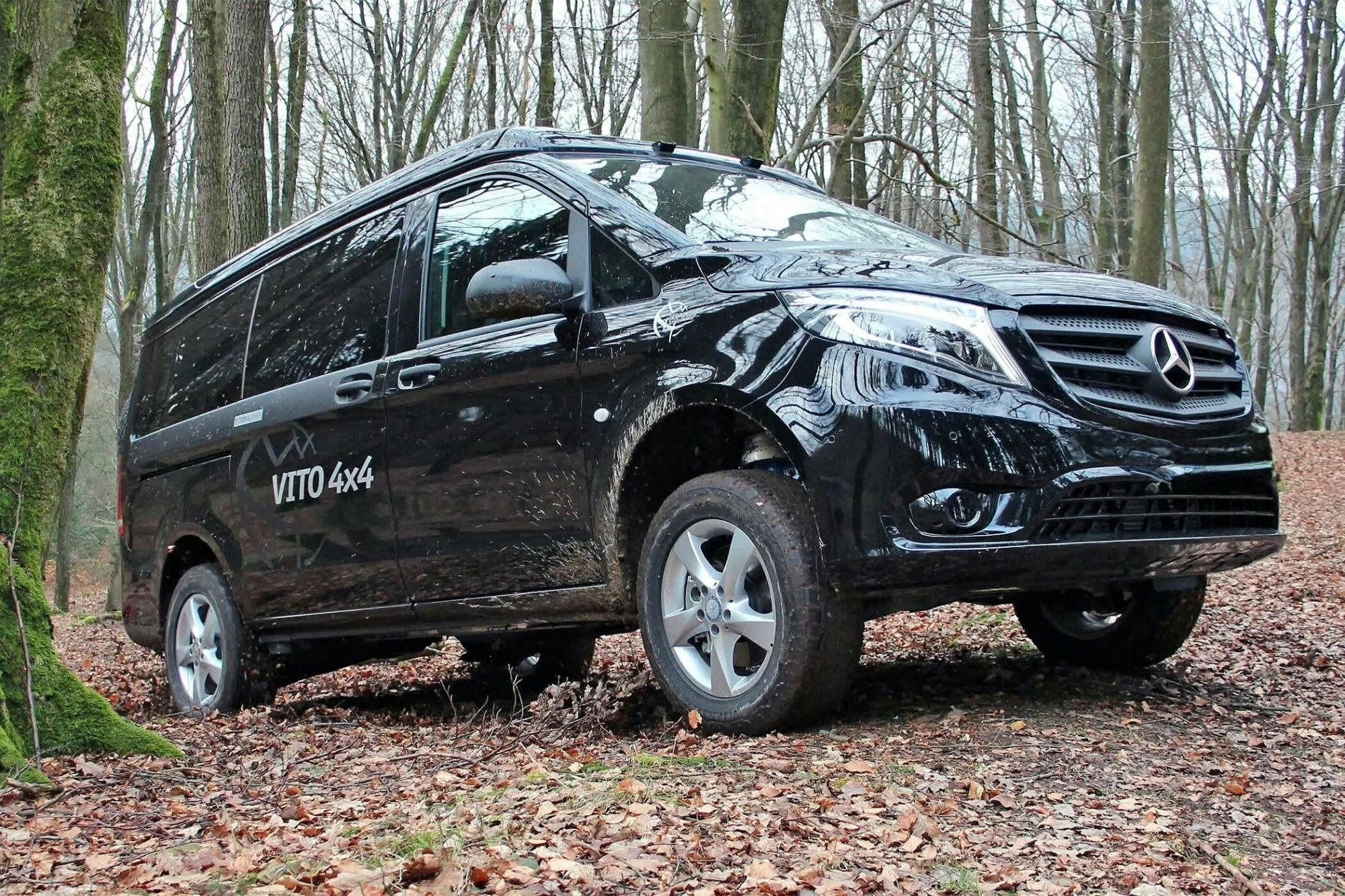 Mount Ainos 4x4 tour in Kefalonia