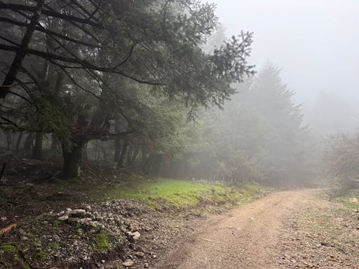 Mount Ainos 4x4 tour in Kefalonia