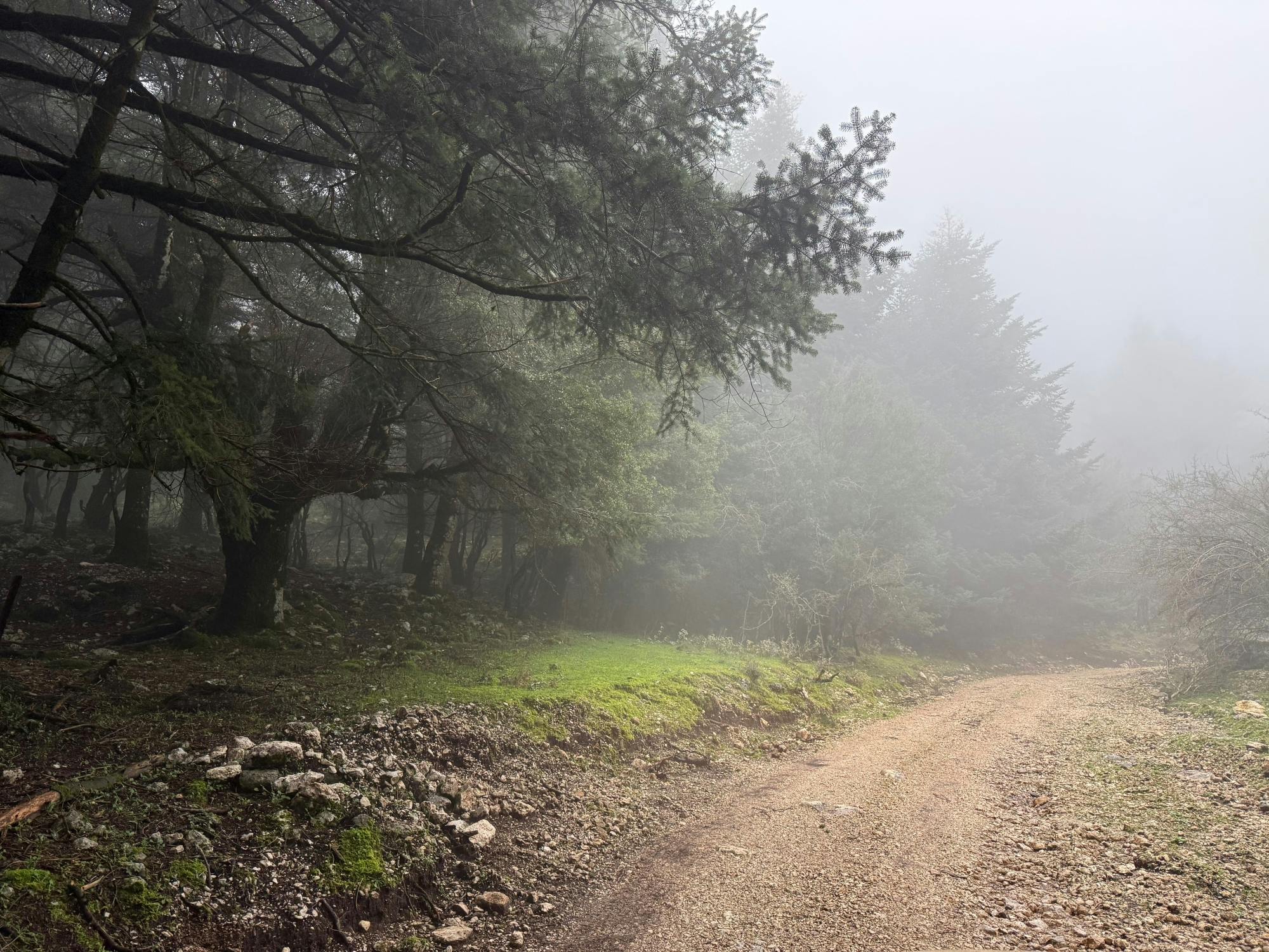 Mount Ainos 4x4 tour in Kefalonia