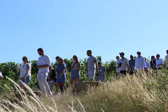 Passeggiata enologica privata a Stoccarda con giochi e degustazioni regionali