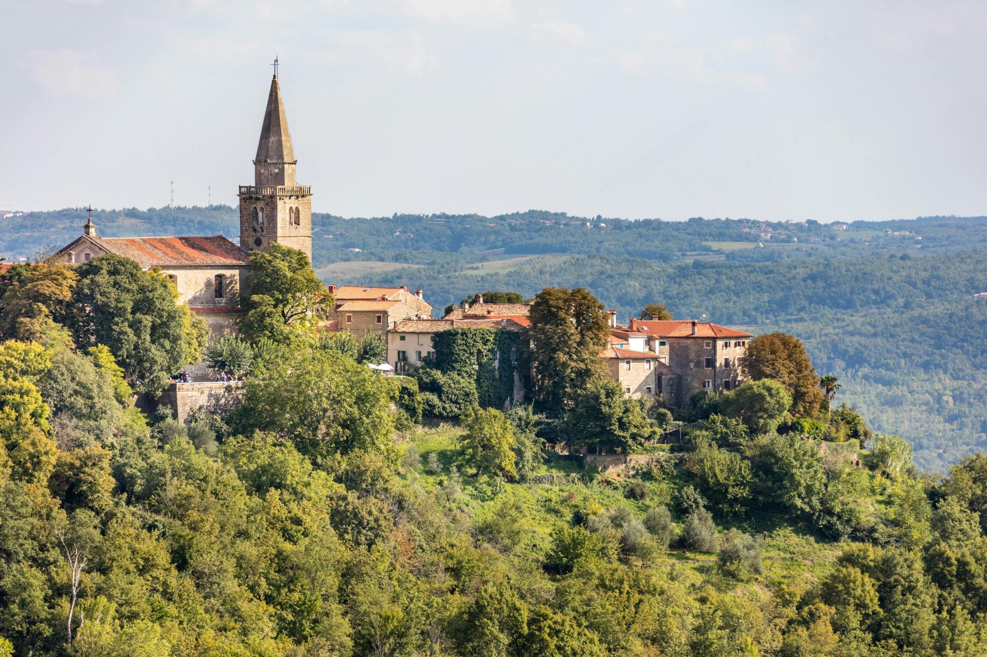 Istrian hilltop villages tour with local speciality tasting