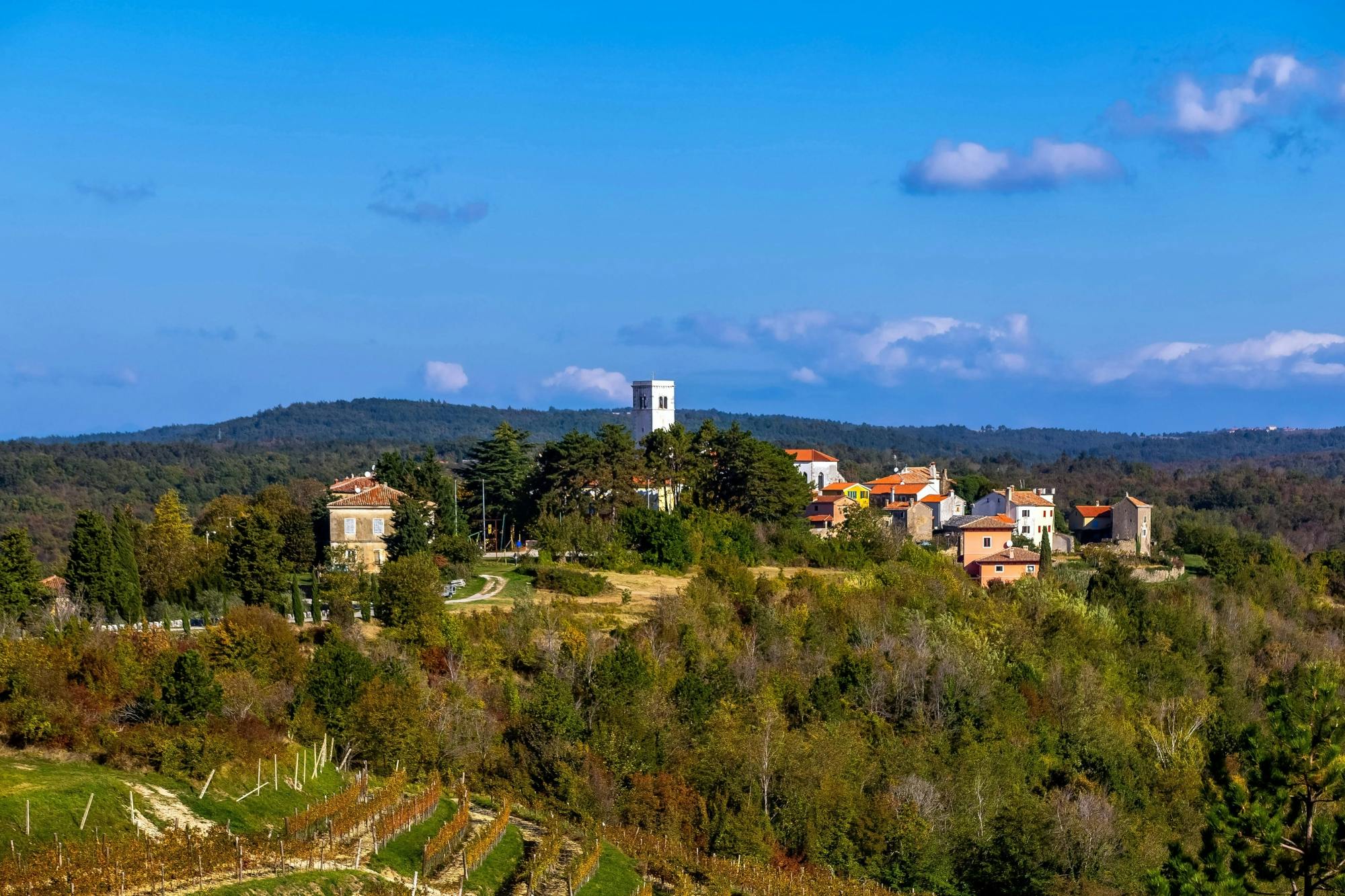 Istrian hilltop villages tour with local speciality tasting