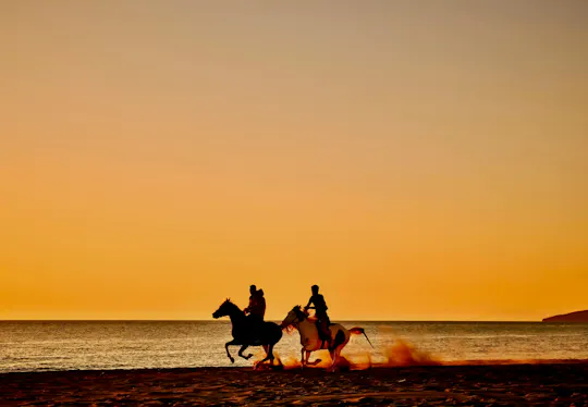 Passeggiata a cavallo guidata nella campagna e nelle spiagge di Durazzo