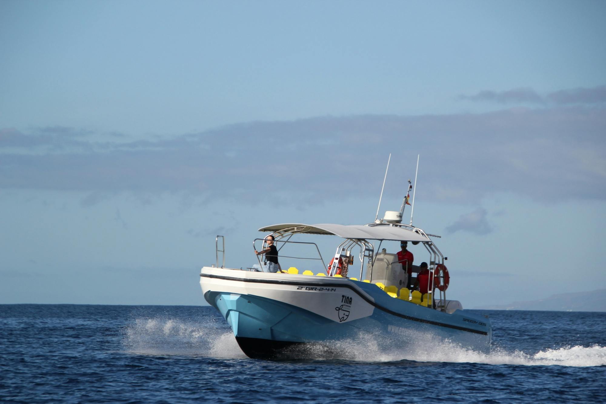 Excursion d'observation des baleines à La Gomera avec un bateau de collection