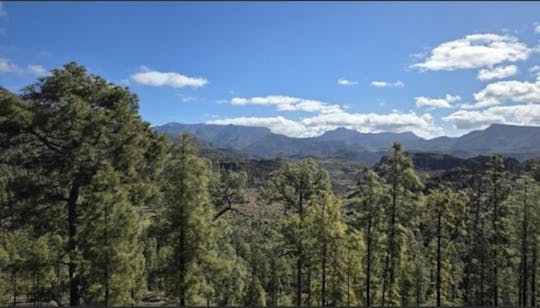 Canary Island landscapes tour