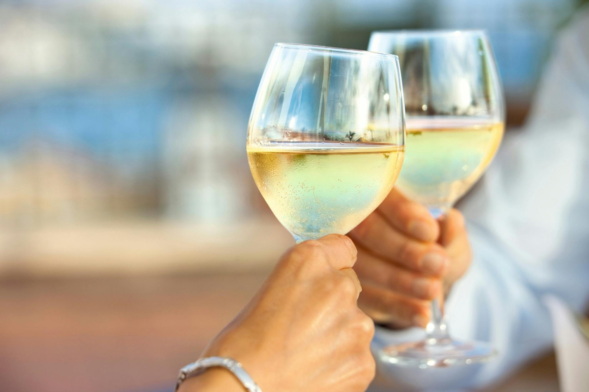 Lake Garda wine-tasting tour