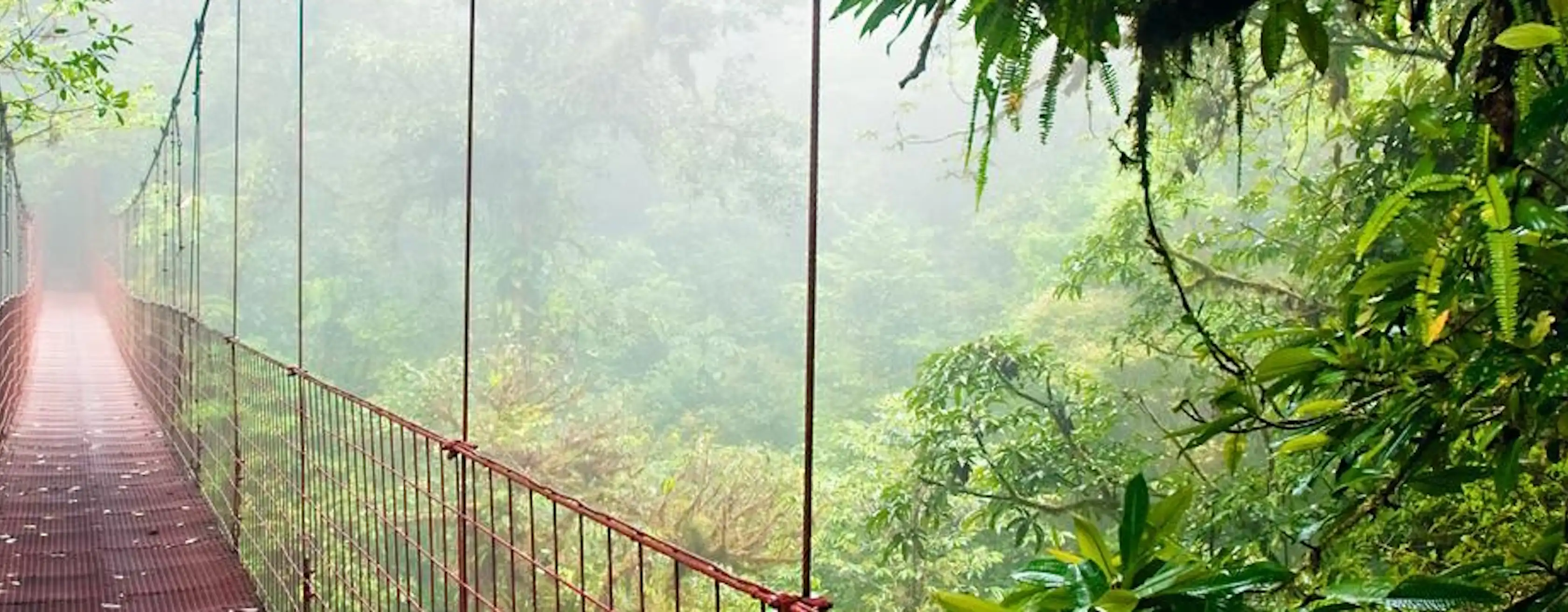 Actividades en Monteverde