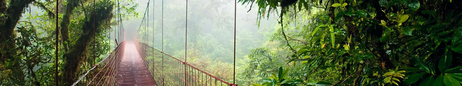 Monteverde