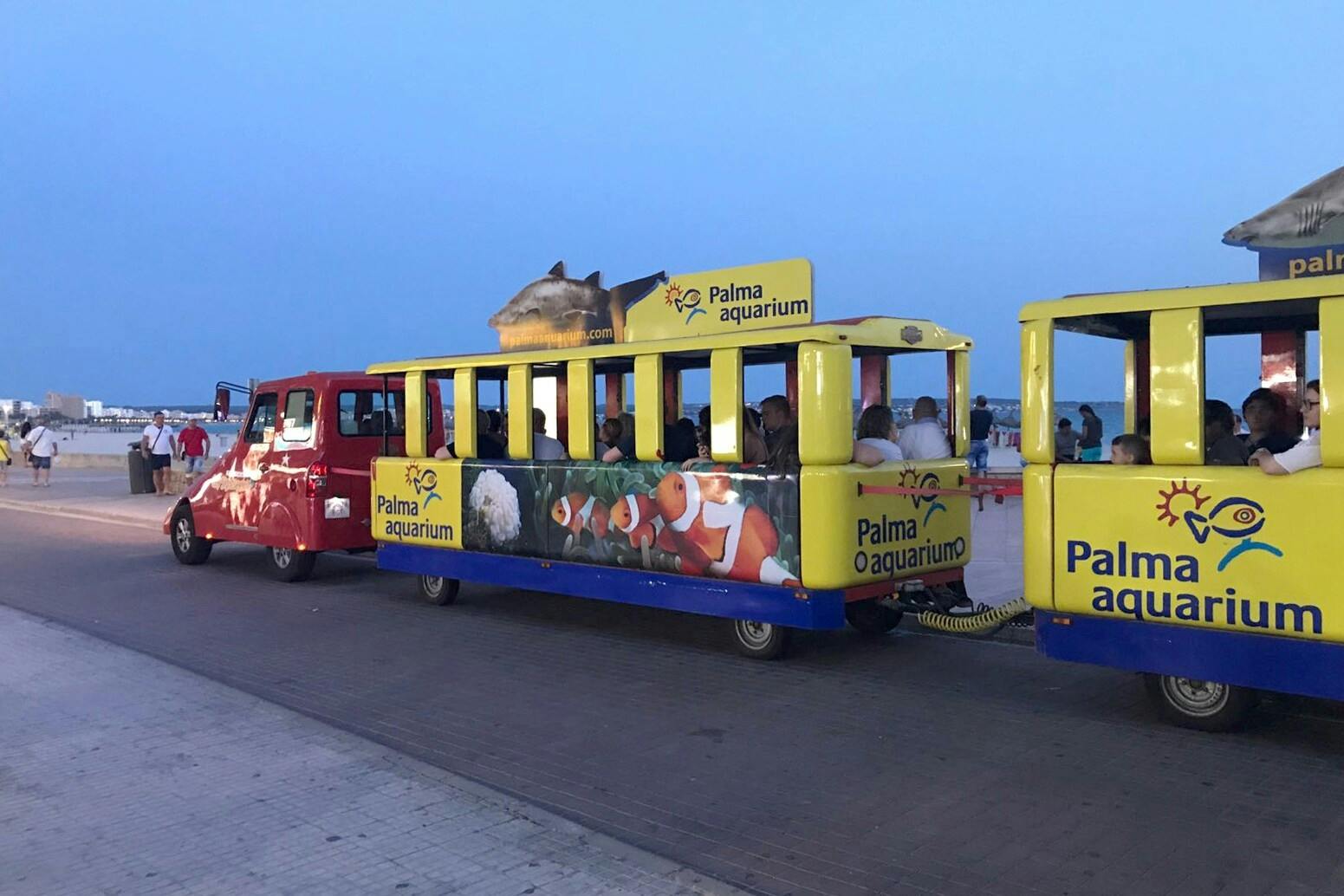 Tourist Train Ride Ticket - Playa de Palma