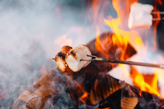 Private walk and campfire at Sognsvann Lake