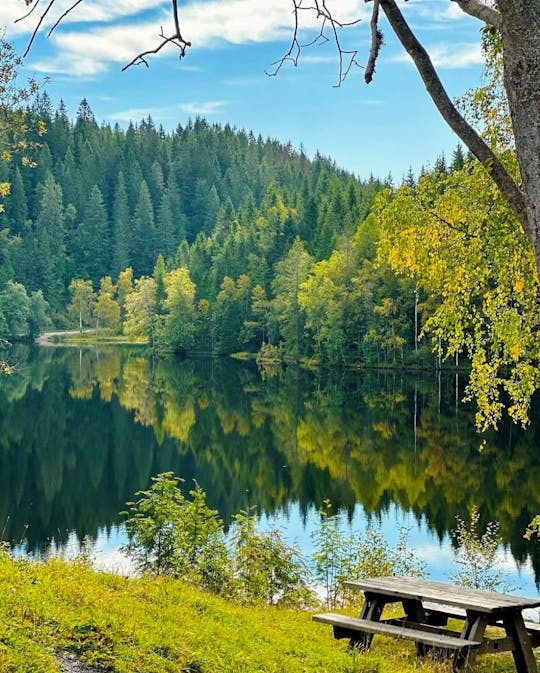 Prywatna wycieczka z Oslo do Frognerseteren i Tryvannsstua