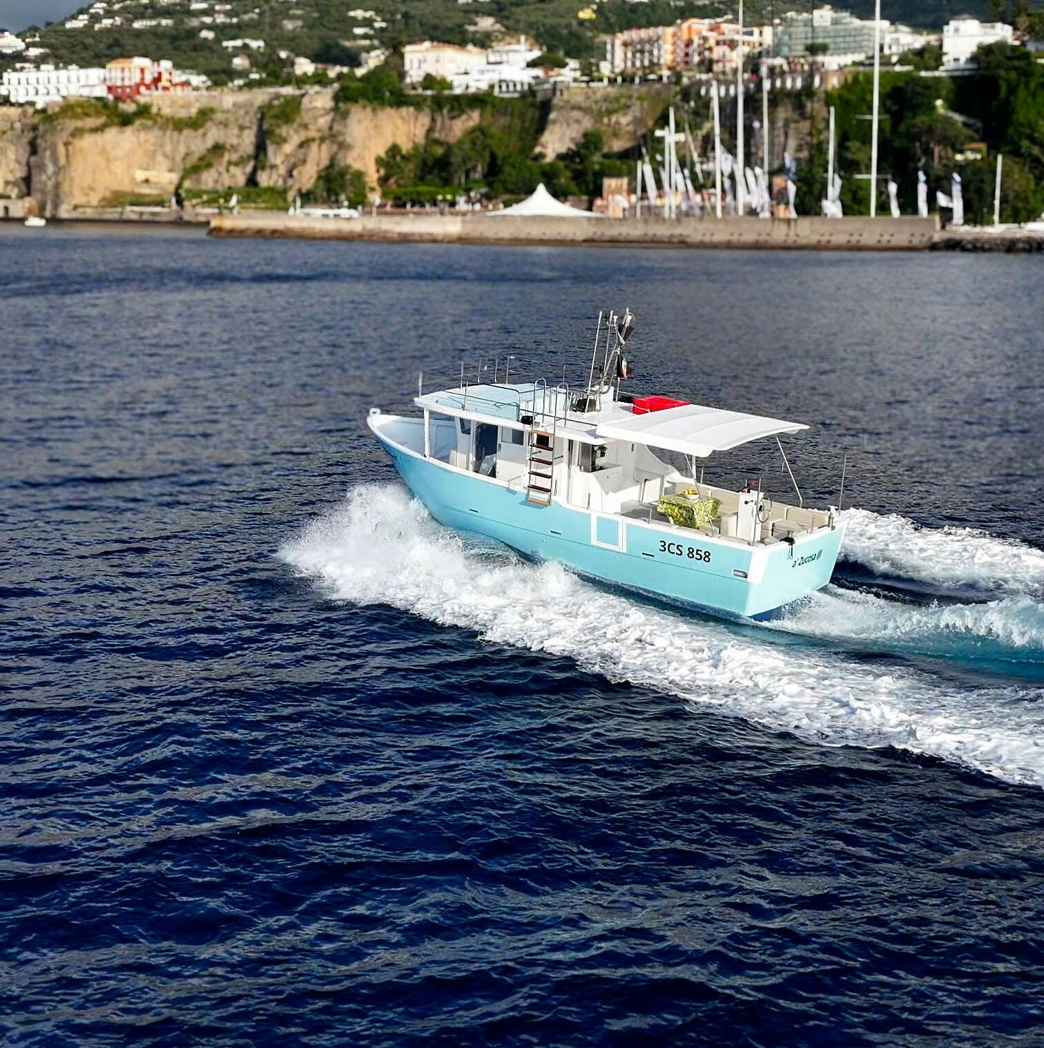 Full-day Capri island Boat tour with lunch