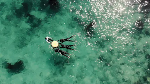 Paphos eco snorkelling adventure