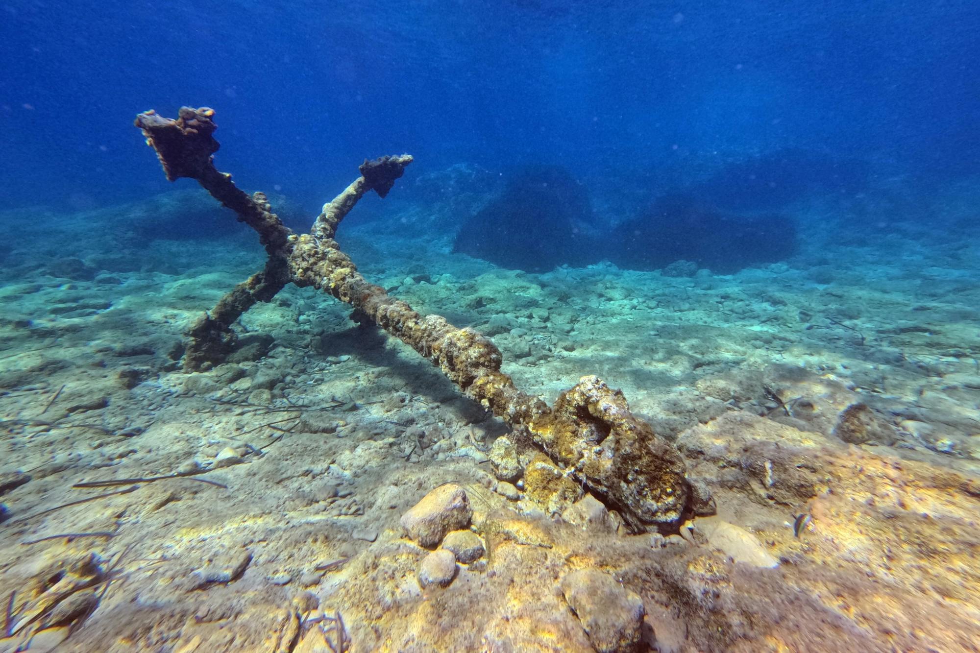 Paphos eco snorkelling adventure