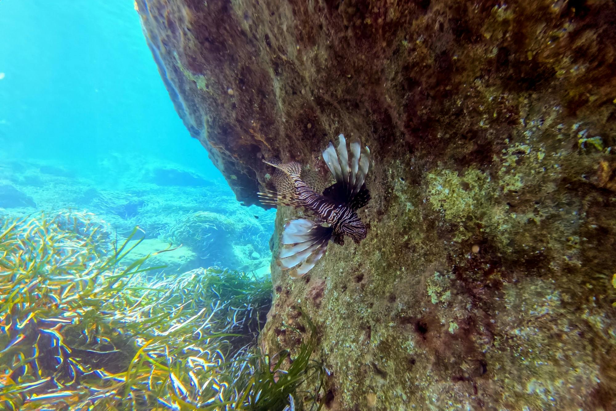 Paphos eco snorkelling adventure