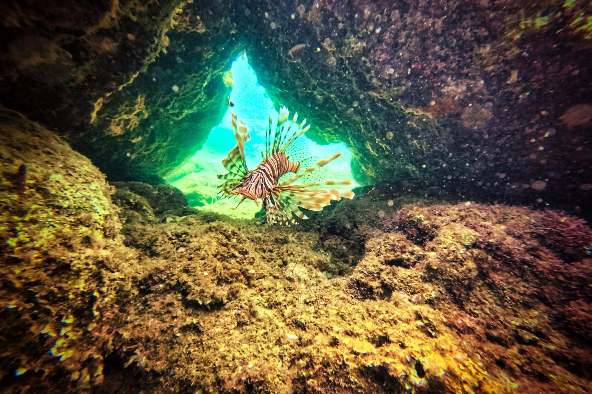 Paphos eco snorkelling adventure