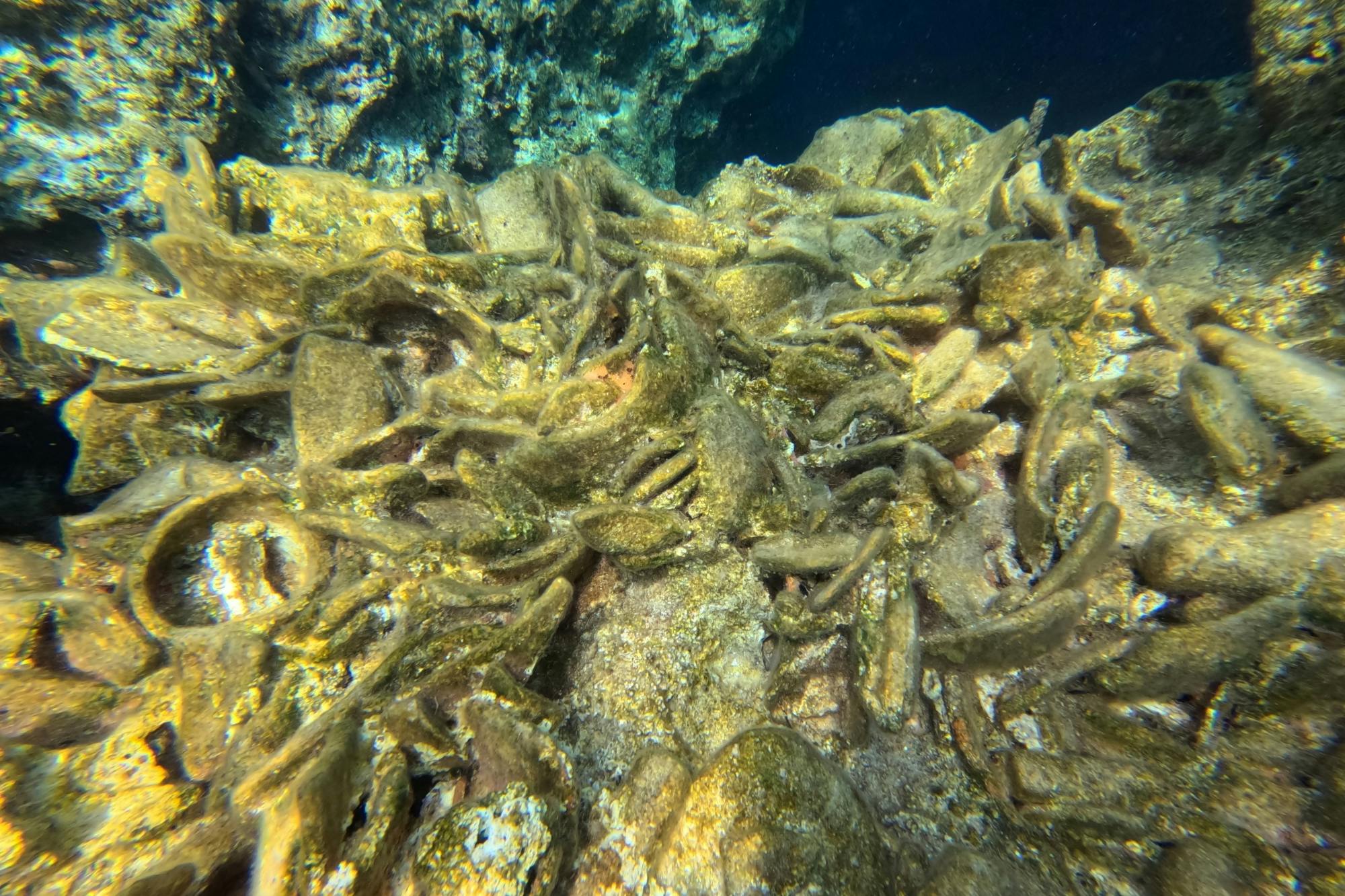 Paphos eco snorkelling adventure