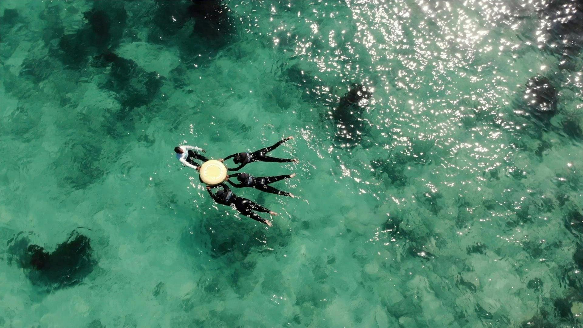 Paphos eco snorkelling adventure