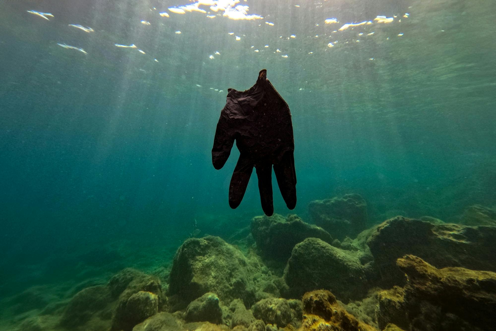 Paphos eco snorkelling adventure