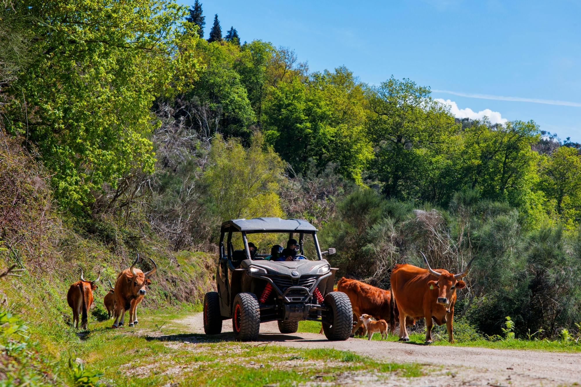1h Buggy-Tour - Arcos de Valdevez - Peneda Gerês