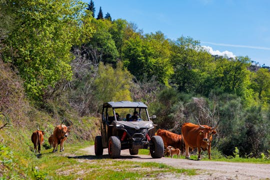 1h Buggy-Tour - Arcos de Valdevez - Peneda Gerês