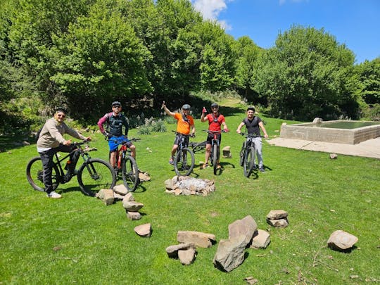 Passeio de bicicleta eléctrica pelo Parque Madonie com prova de azeite