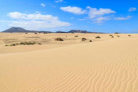 Small group 4x4 tour of El Cotillo and Corralejo Natural Park
