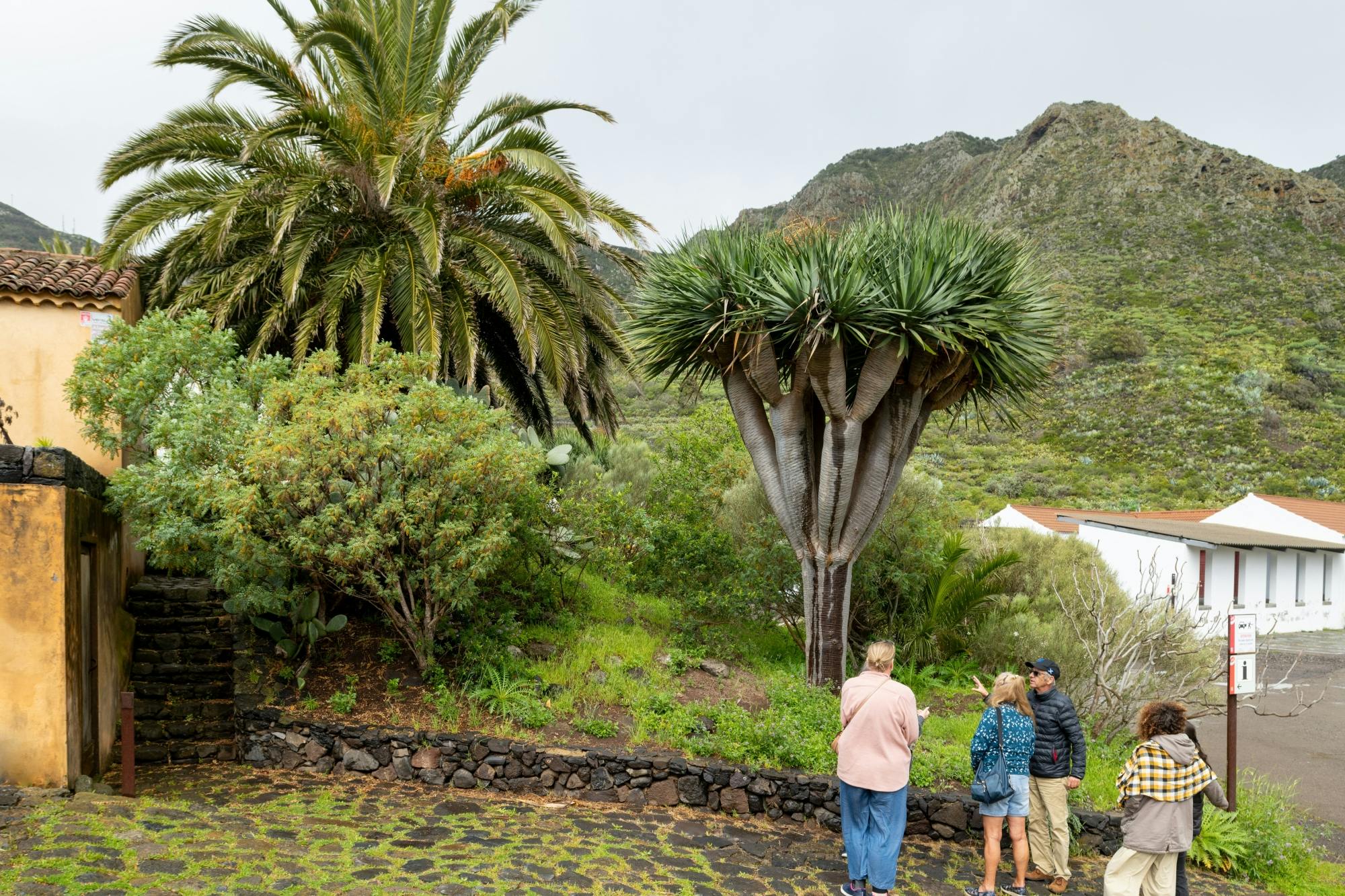 Masca, Teno and rural Tenerife tour