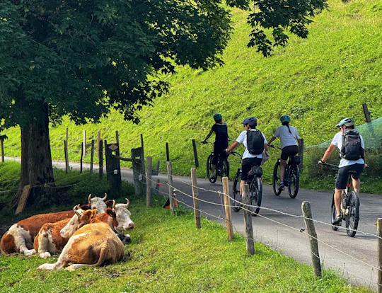 E-bike tour in Swiss Griesalp Valley from Interlaken