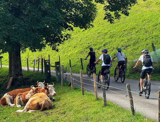 Passeio de bicicleta eléctrica no vale suíço de Griesalp a partir de Interlaken
