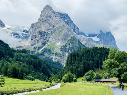 Excursão de um dia em bicicleta eléctrica de Interlaken ao Vale de Rosenlaui