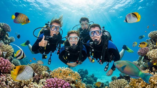 Duikervaringen en cursussen in Marsa Alam