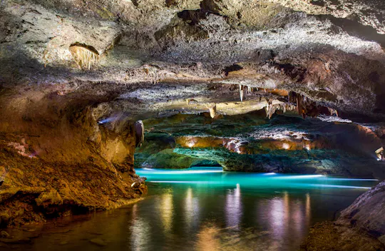 Excursão às Grutas de San José a partir de Valência, em francês