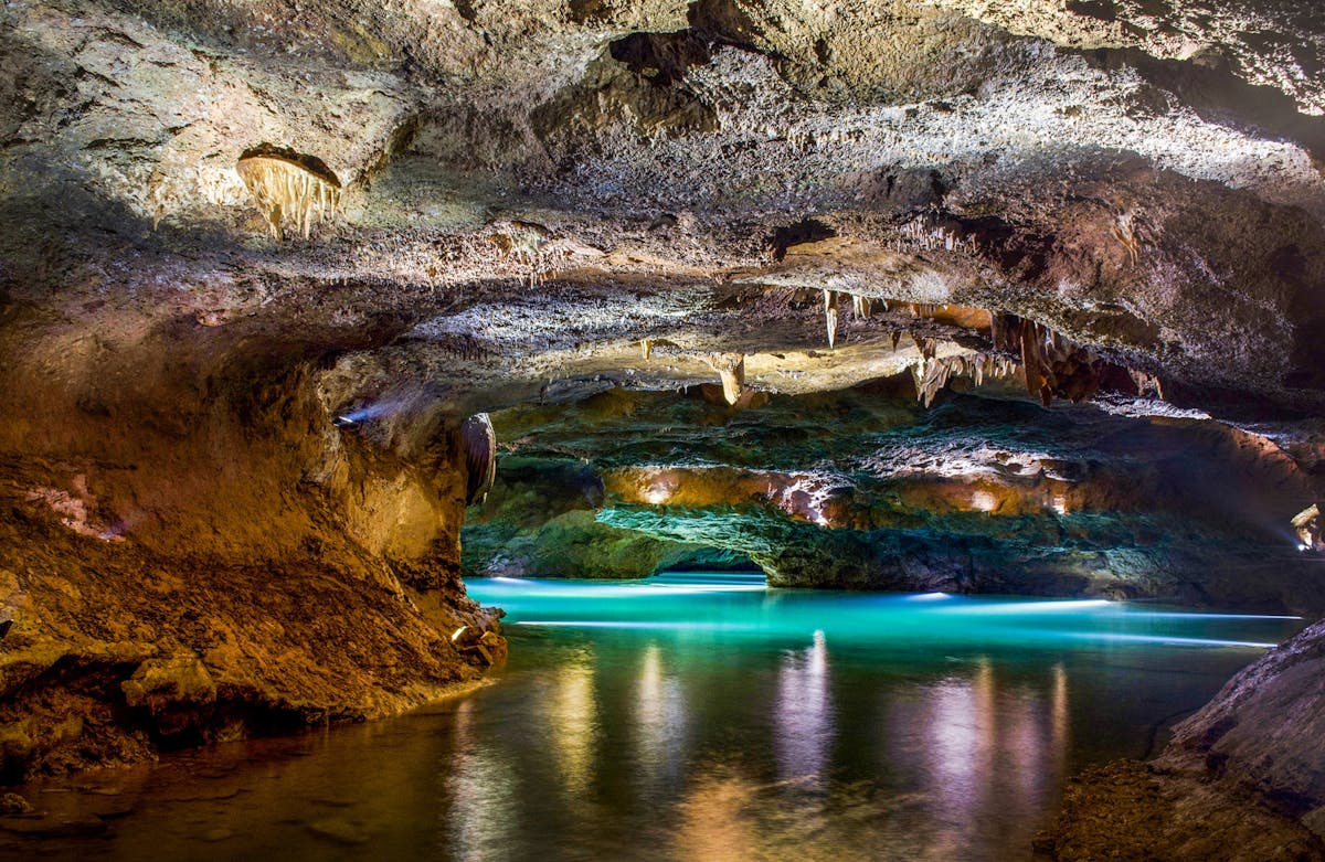 Excursie naar de grotten van San José vanaf Valencia in het Frans