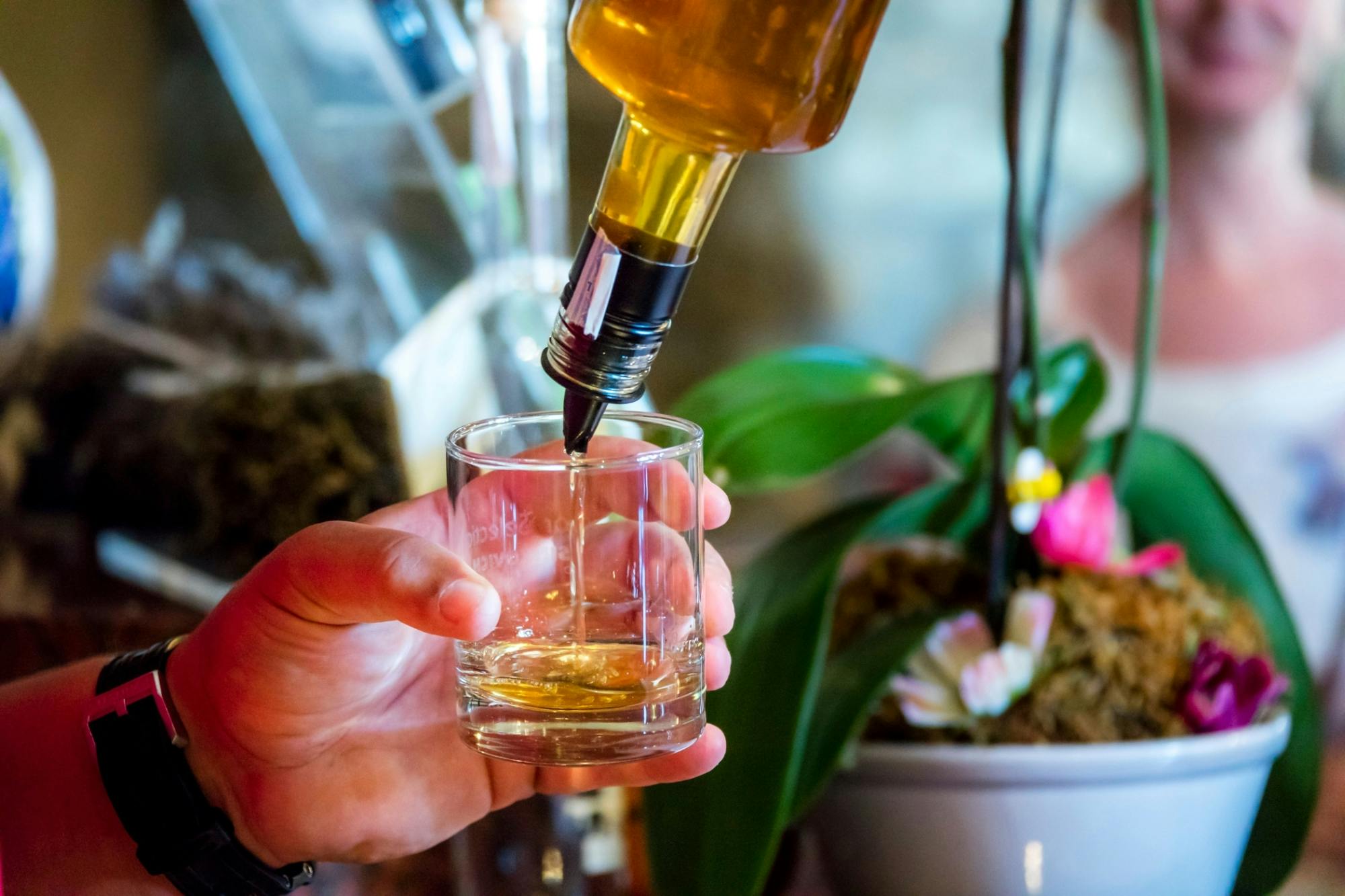 Medieval Charm and Istrian Flavors