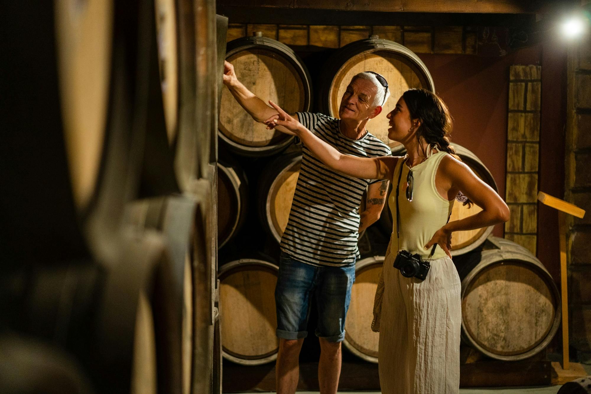 Zante tour with Blue Caves boat trip and wine-tasting