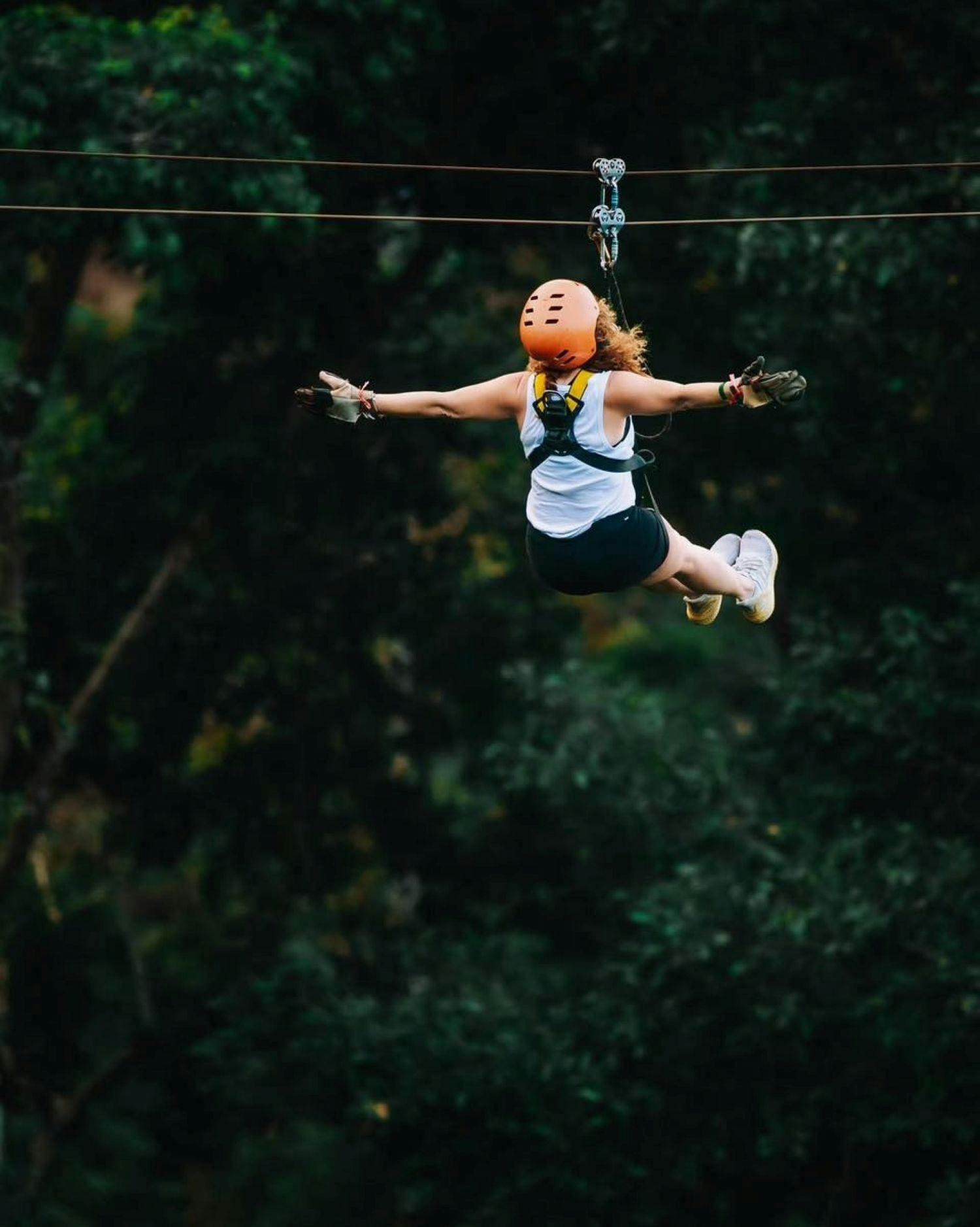 Zipline avontuur bij Tree Bridge in Koh Samui