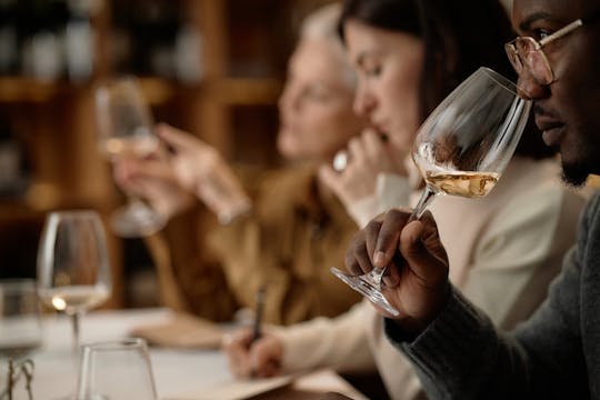 Experiência de prova de vinhos com um sommelier em La Orotava