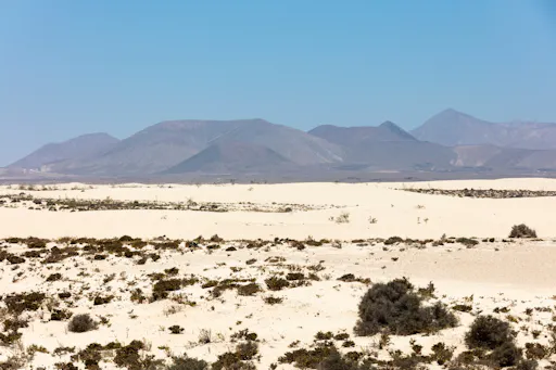 El Cotillo, Conatvs winery and the Dunes of Fuerteventura half-day tour