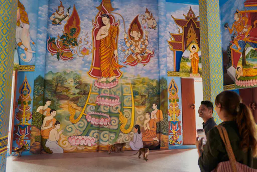 Full-day Khao Sok tour with elephant sanctuary and bamboo rafting