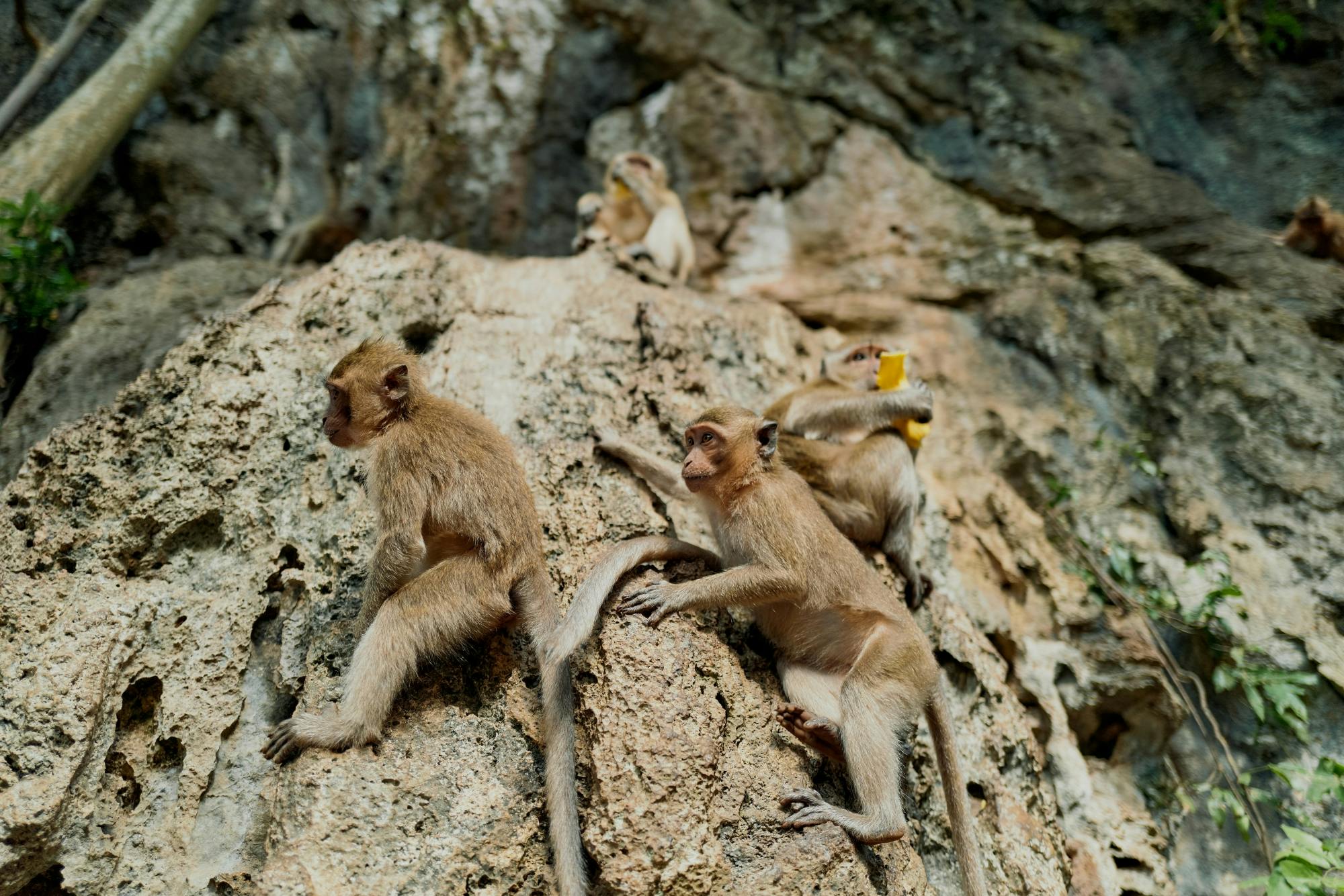 Full-day tour of Phang Nga Bay with James Bond Island visit