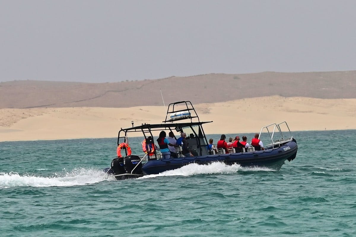 Boa Vista whale‑watching adventure by speedboat
