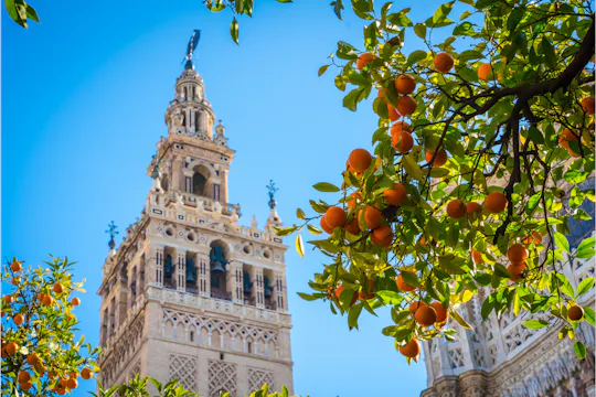 Bilhete para a catedral de Sevilha com audioguia e realidade aumentada